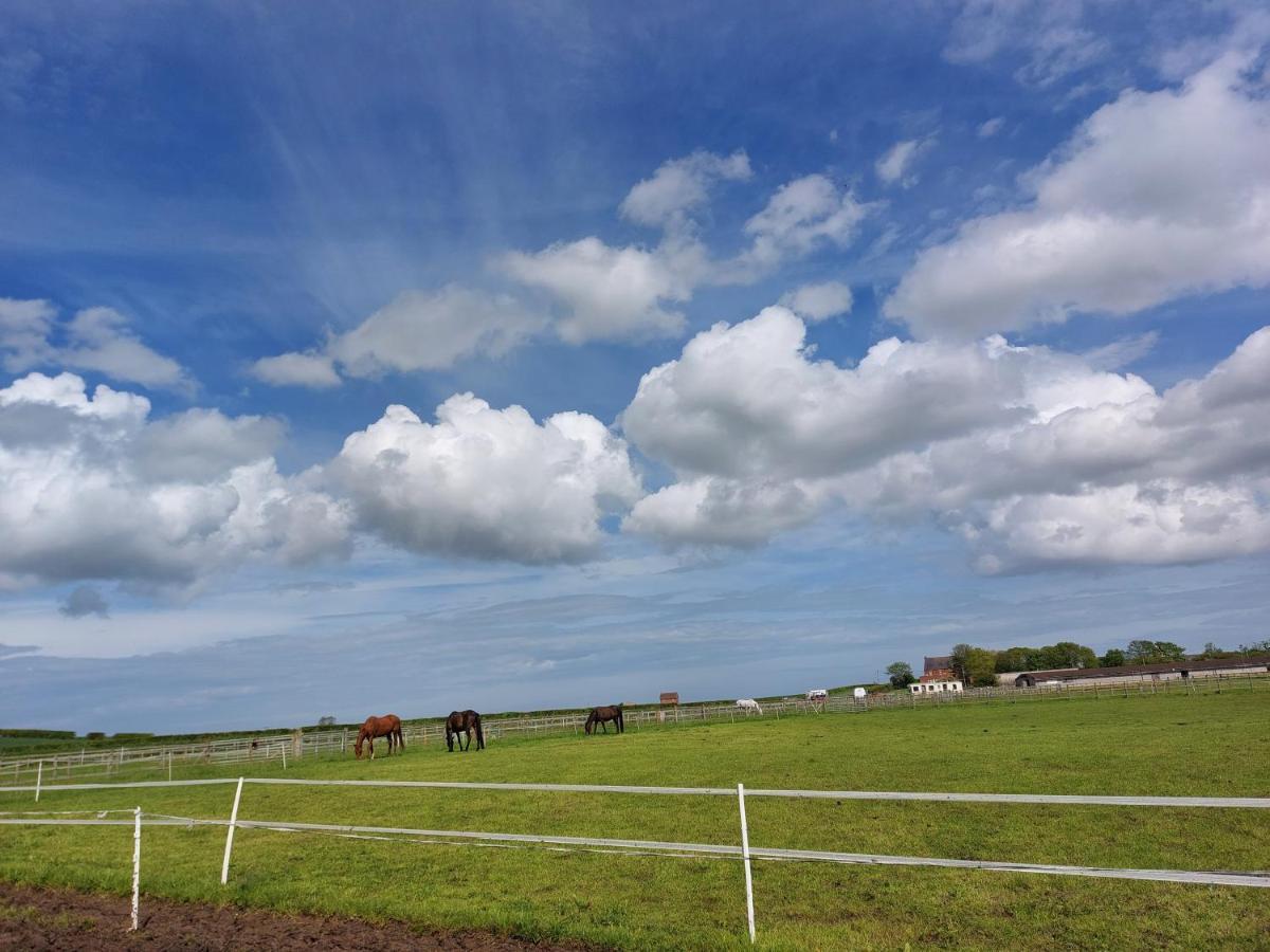 Braemar Equestrian, East Riding Of Yorkshire Hotel Burton Pidsea Kültér fotó